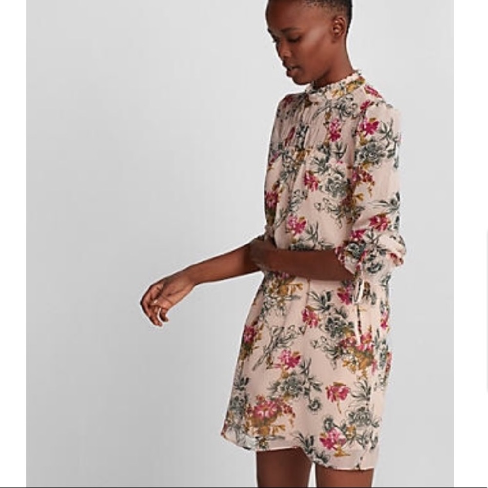 Express shift dress